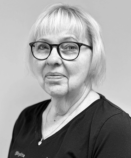 Birgitta Allvin